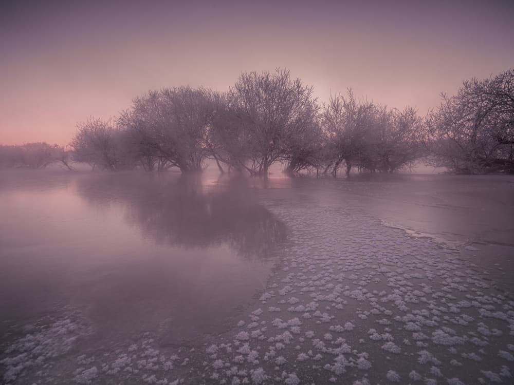 Misty Winter Dawn by Cai ning — canvas wall art