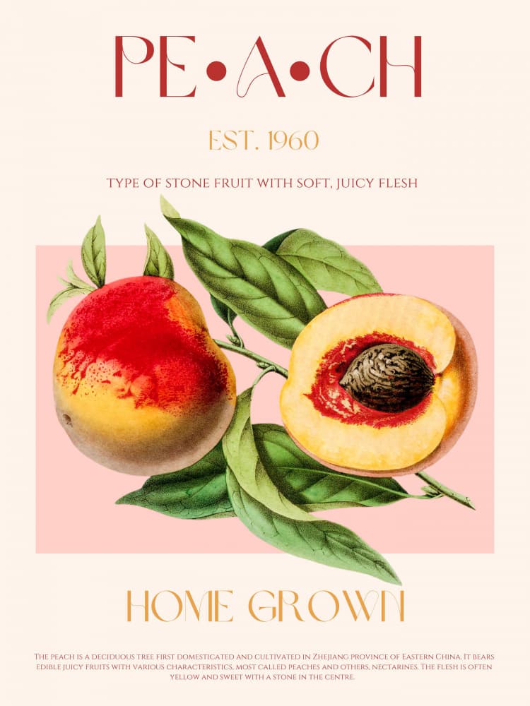 Ripe Vintage Peaches by Nazma Khokhar — canvas wall art