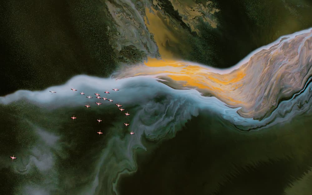 Flamingos Over Abstract Waters by MIN LI — canvas wall art