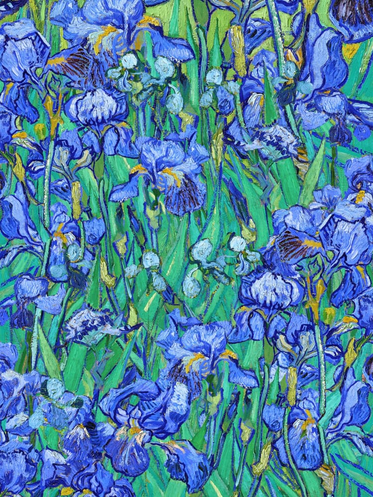 Painterly Blue Irises by Mathieu jeuf — canvas wall art