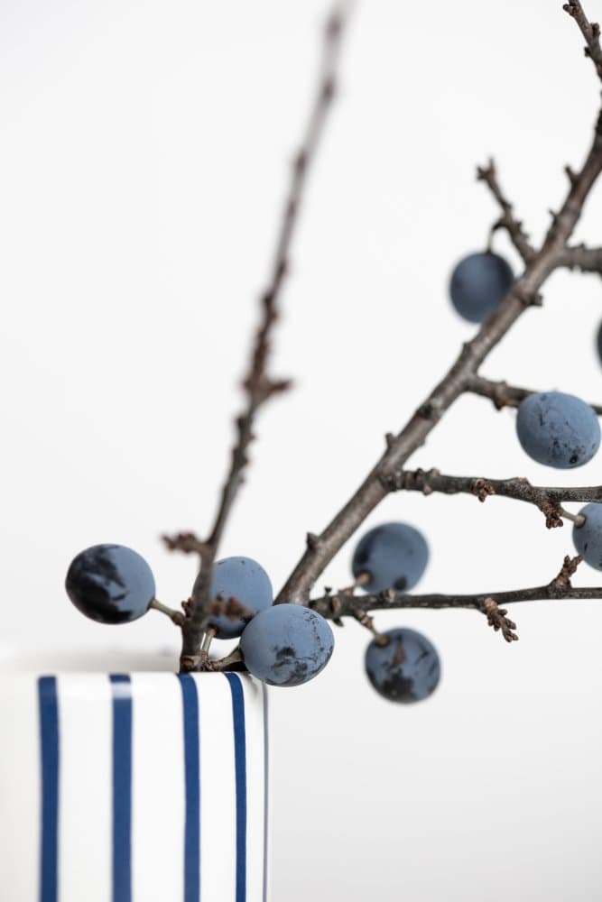 Blue Winter Berries by Pictufy Studio III — canvas wall art