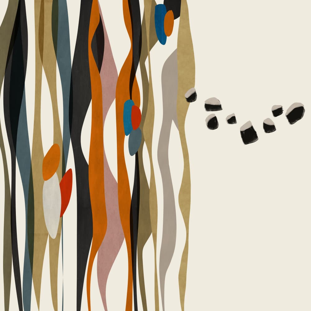 Organic Reeds Floating Stones by Roberto Moro — canvas wall art