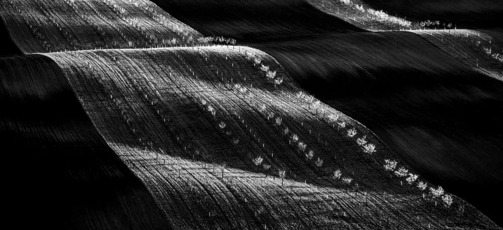 Monochrome Field Patterns by Milan Uhrin AFIAP AZSF — canvas wall art