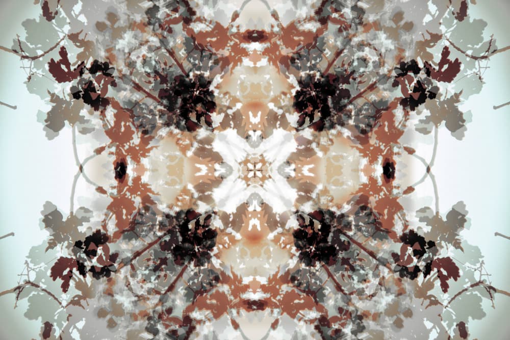 Muted Botanical Kaleidoscope by Christina Sillen — canvas wall art