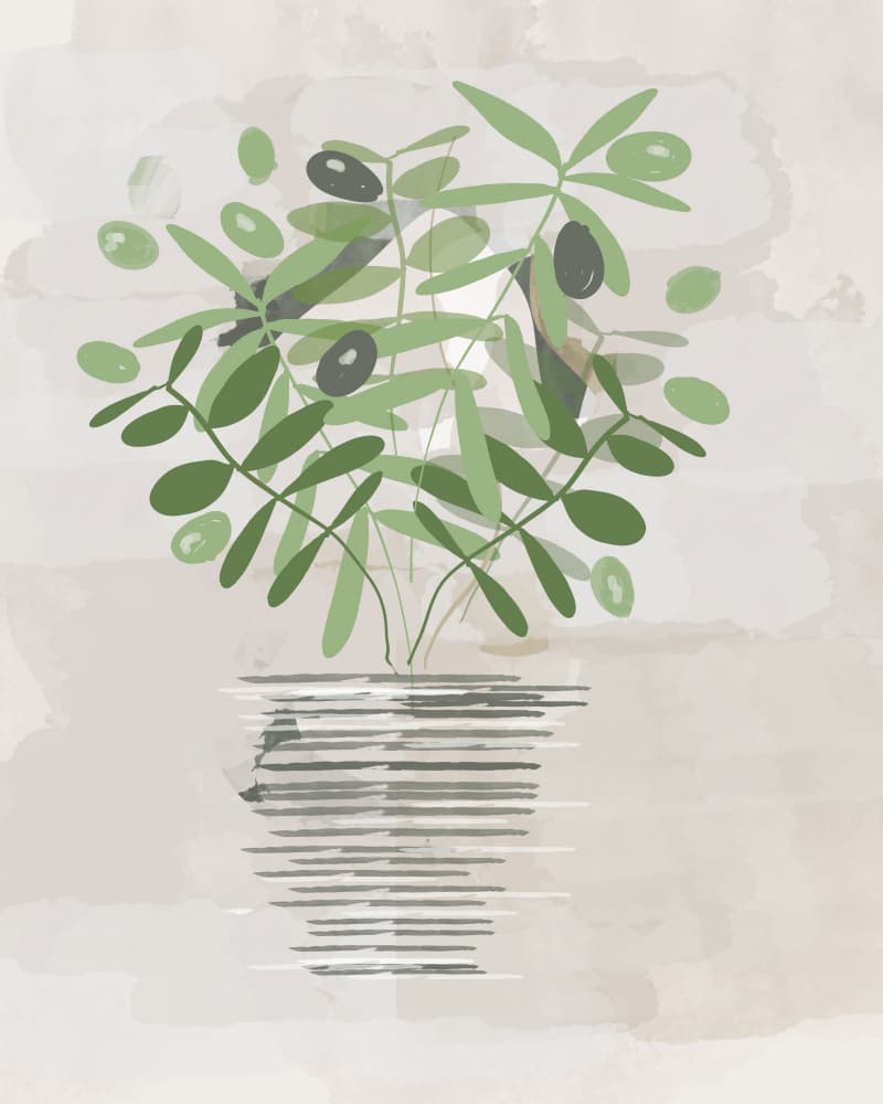 Potted Olive Plant by Sannel Larson — canvas wall art
