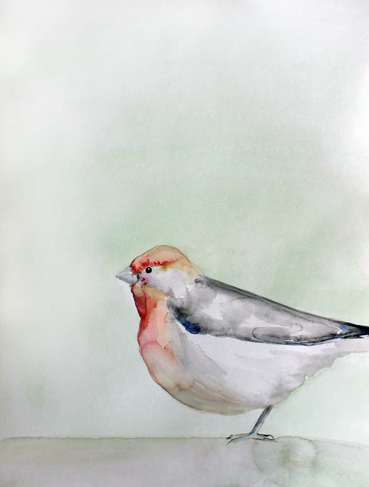 Gentle Finch Painting by Christine Lindstrom — canvas wall art