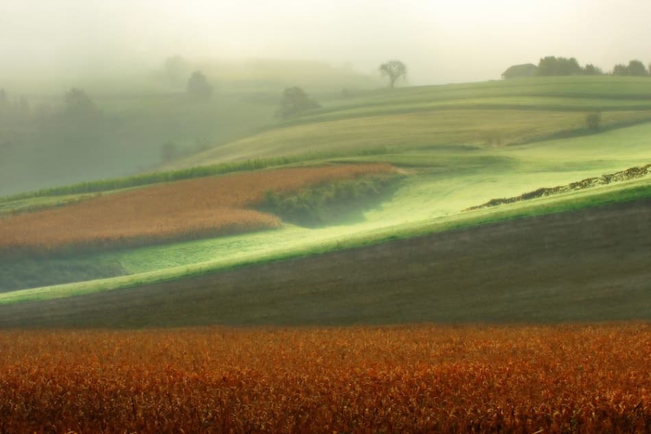 Misty Morning Fields by Jure Kravanja — canvas wall art