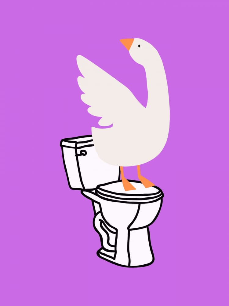 Funny Goose Toilet by Jolly and Dash — canvas wall art