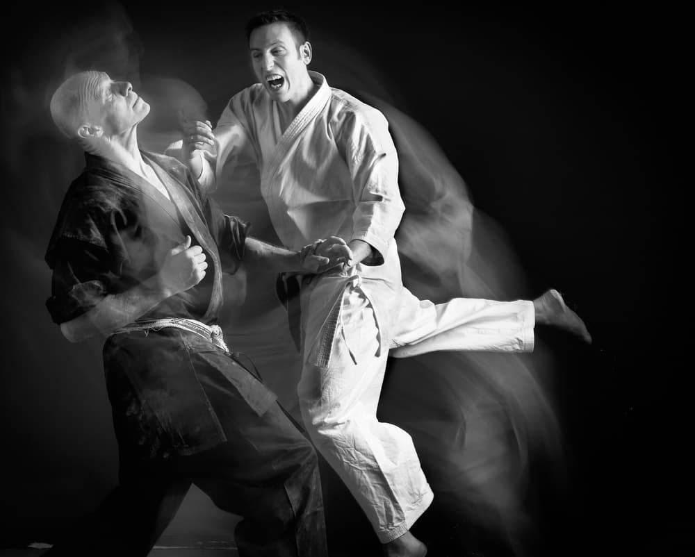 Intense Martial Arts Combat by Hilde Ghesquiere — canvas wall art