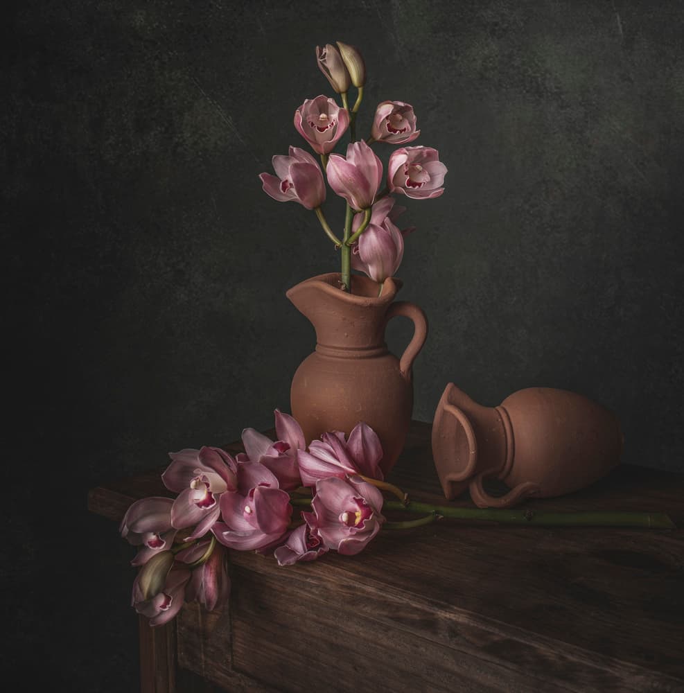 Moody Pink Orchid Still Life by Margareth Perfoncio — canvas wall art