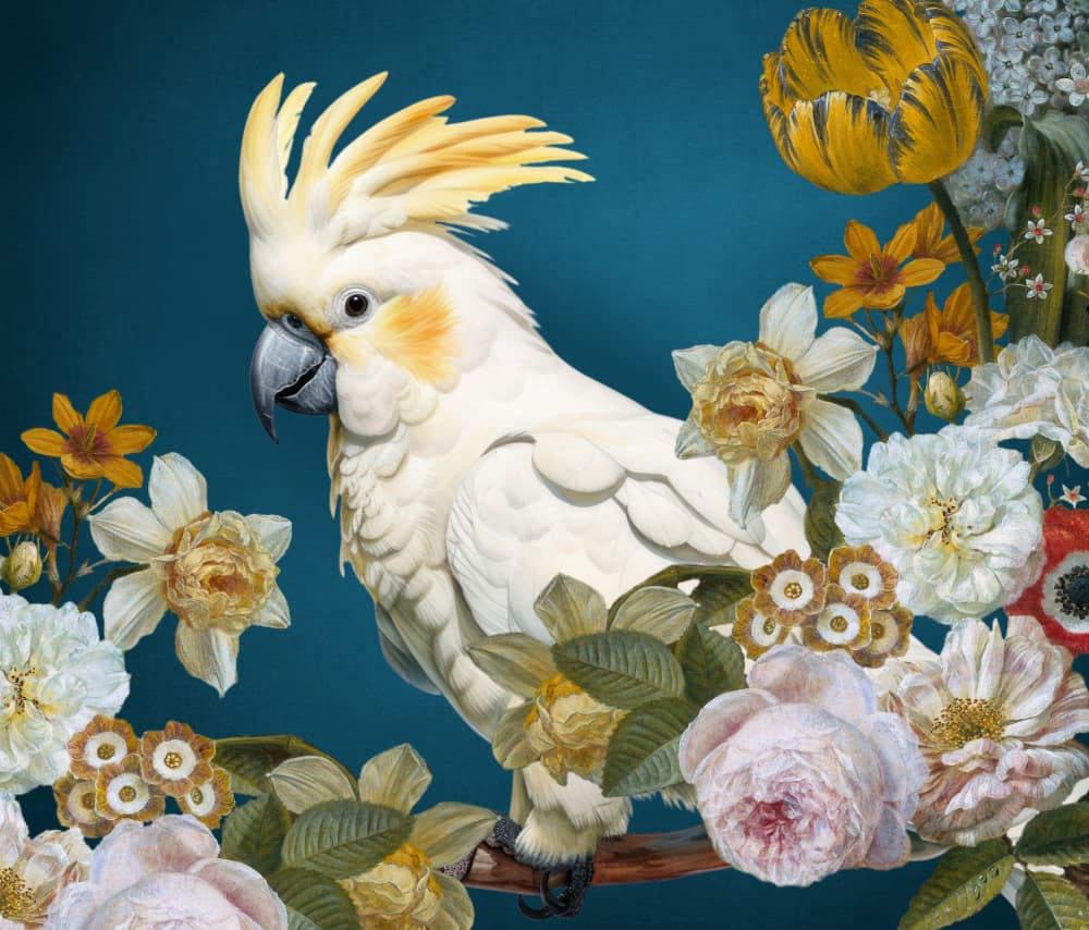 White Cockatoo Botanical Bloom by Marja van den Hurk — canvas wall art