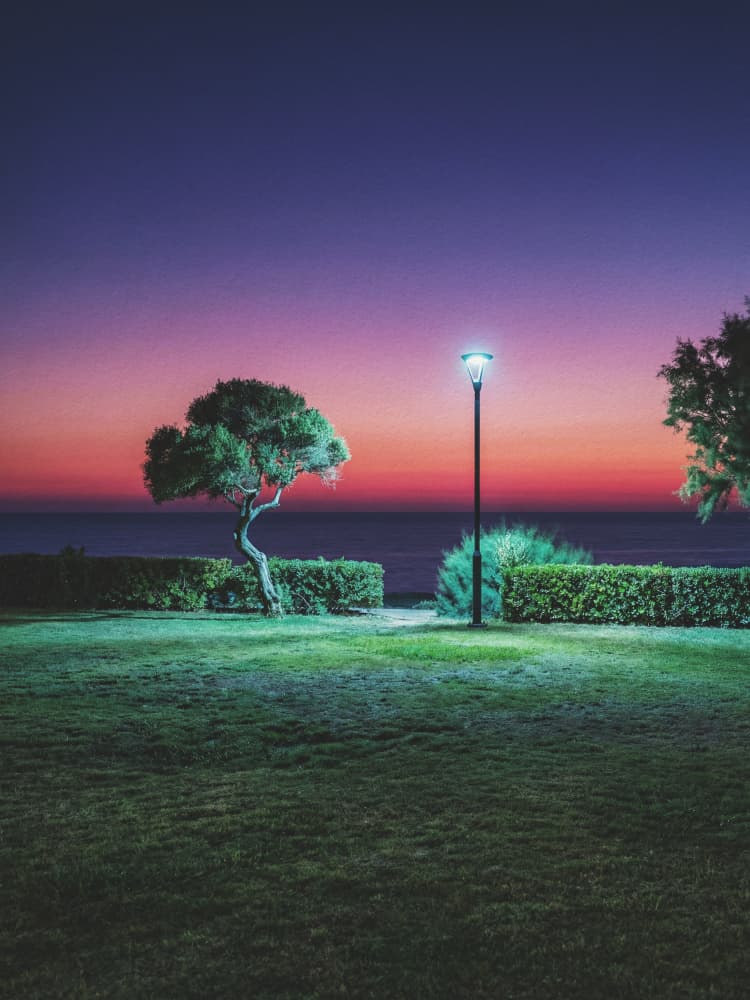 Vibrant Sunset Coastal Park by Andreas Magnusson — canvas wall art