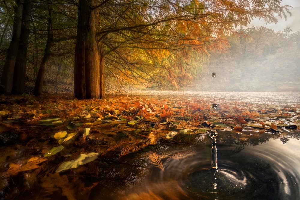 Misty Autumn Lake Droplet by Alberto Ghizzi Panizza — canvas wall art