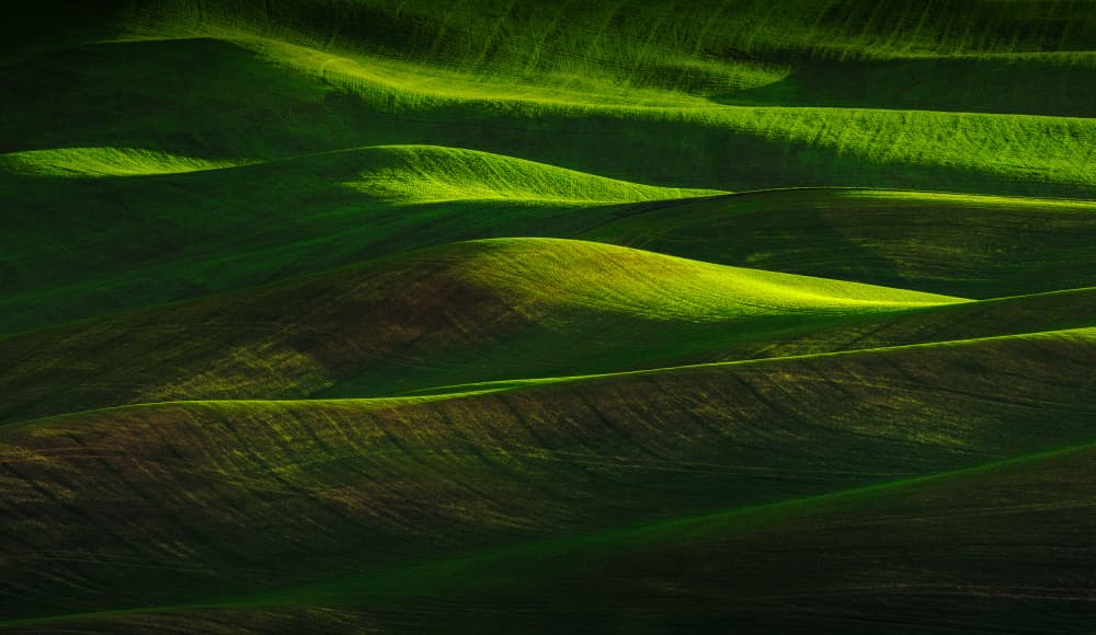 Rolling Green Hills by Joanna W — canvas wall art