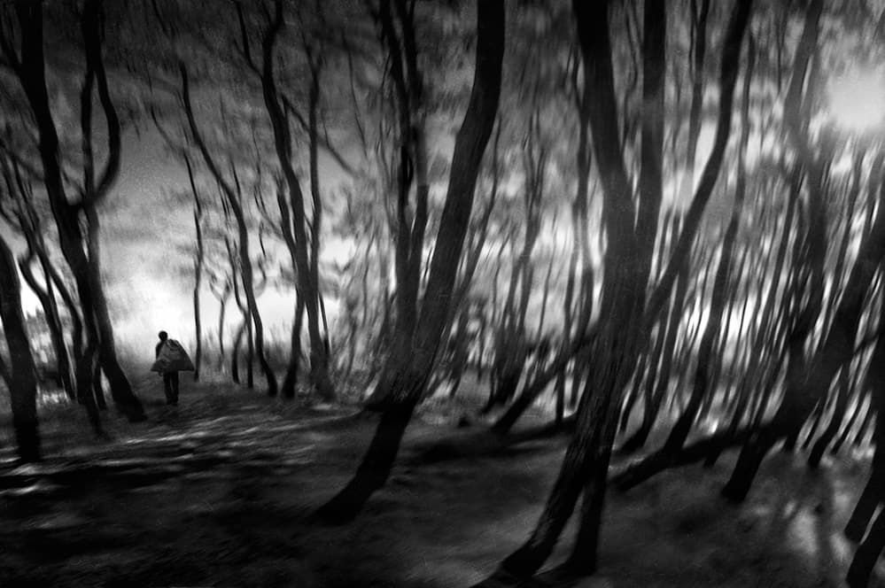 Solitary Forest Path by Ekkachai Khemkum — canvas wall art