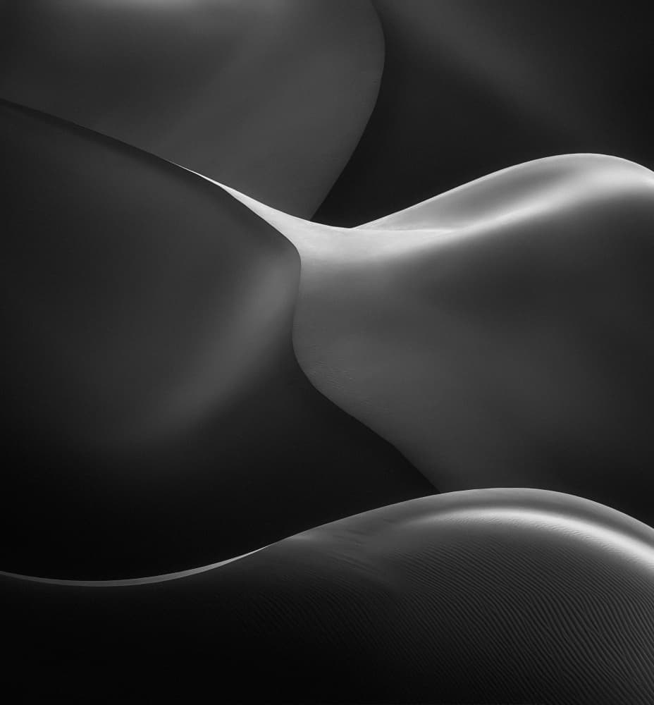 Elegant Desert Forms by NingYun Ye — canvas wall art