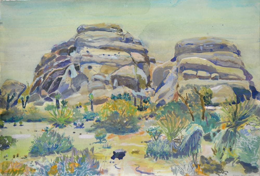 Joshua Tree Landscape by Karin Bos — canvas wall art