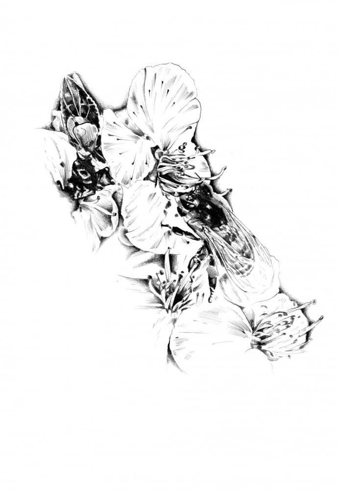 Bee Among Delicate Blooms by Kulik — canvas wall art