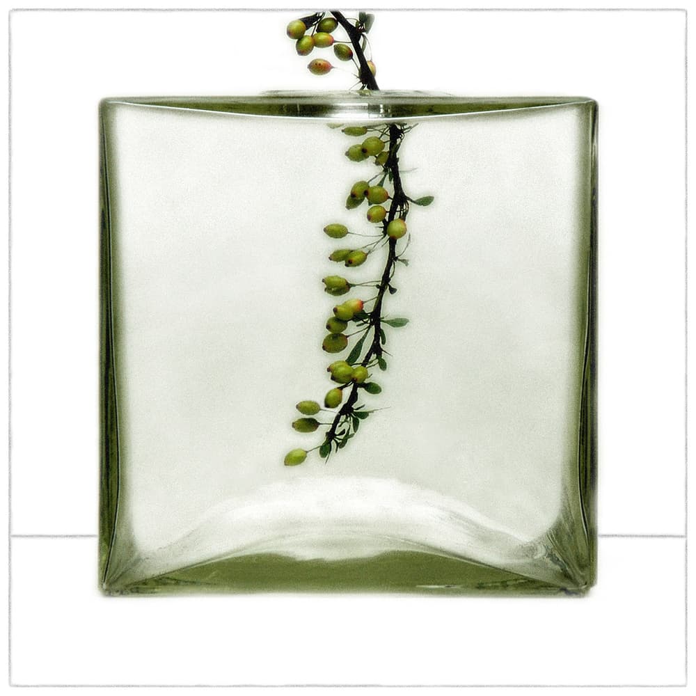 Green Berries Glass Vase by Huib Limberg — canvas wall art