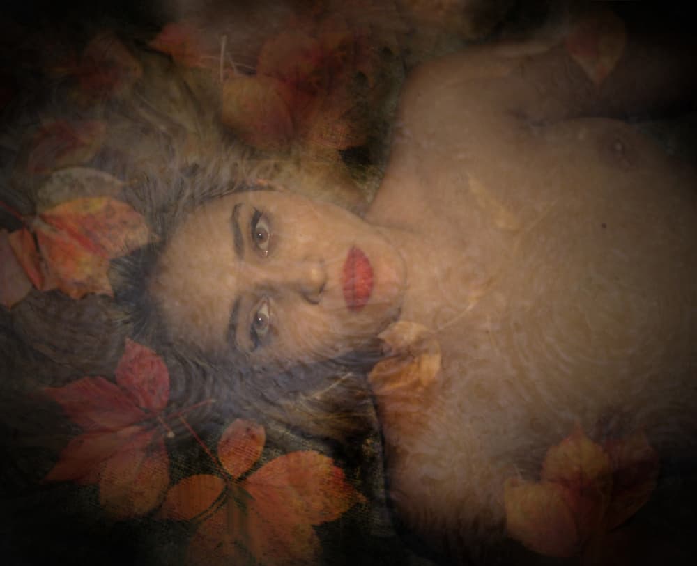 Submerged in Autumn Leaves by Cristian Andreescu — canvas wall art