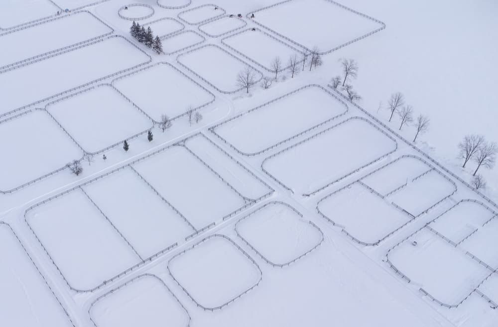 Winter Farm Patterns by Emma Zhao — canvas wall art