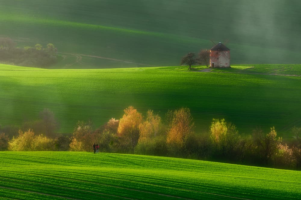 Rolling Green Fields Windmill by Tomasz Rojek — canvas wall art