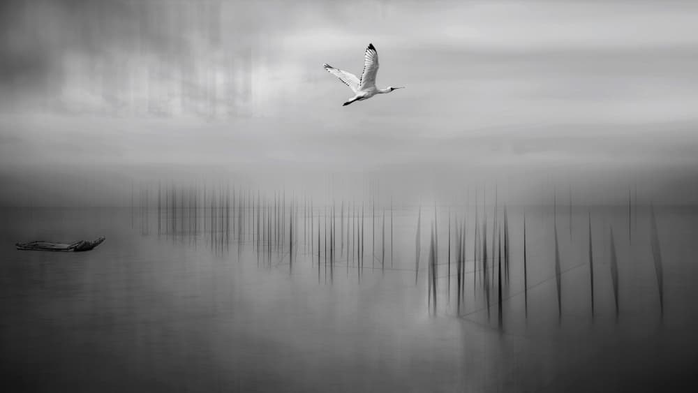 Serene Flight Over Water by MingLun Tsai (蔡明倫) — canvas wall art
