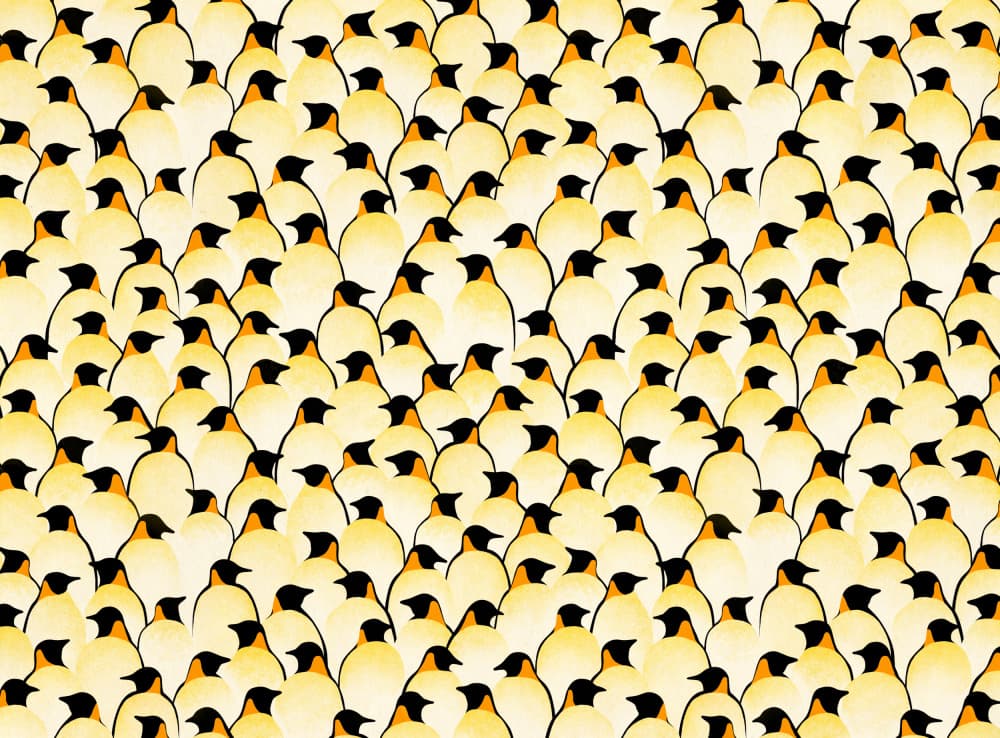 Emperor Penguin Pattern by Florent Bodart — canvas wall art