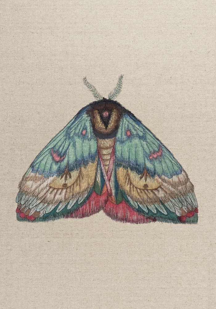 Vibrant Winged Moth by ZAM.ROD — canvas wall art