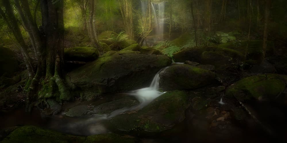 Dark Forest Waterfall by Yan Zhang — canvas wall art