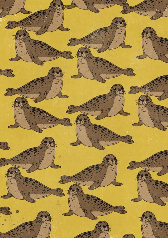Spotted Seals Pattern by Nicholas — canvas wall art
