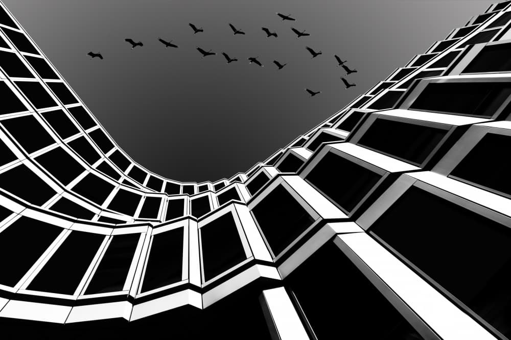 Stark Urban Flight by Rolf Endermann — canvas wall art