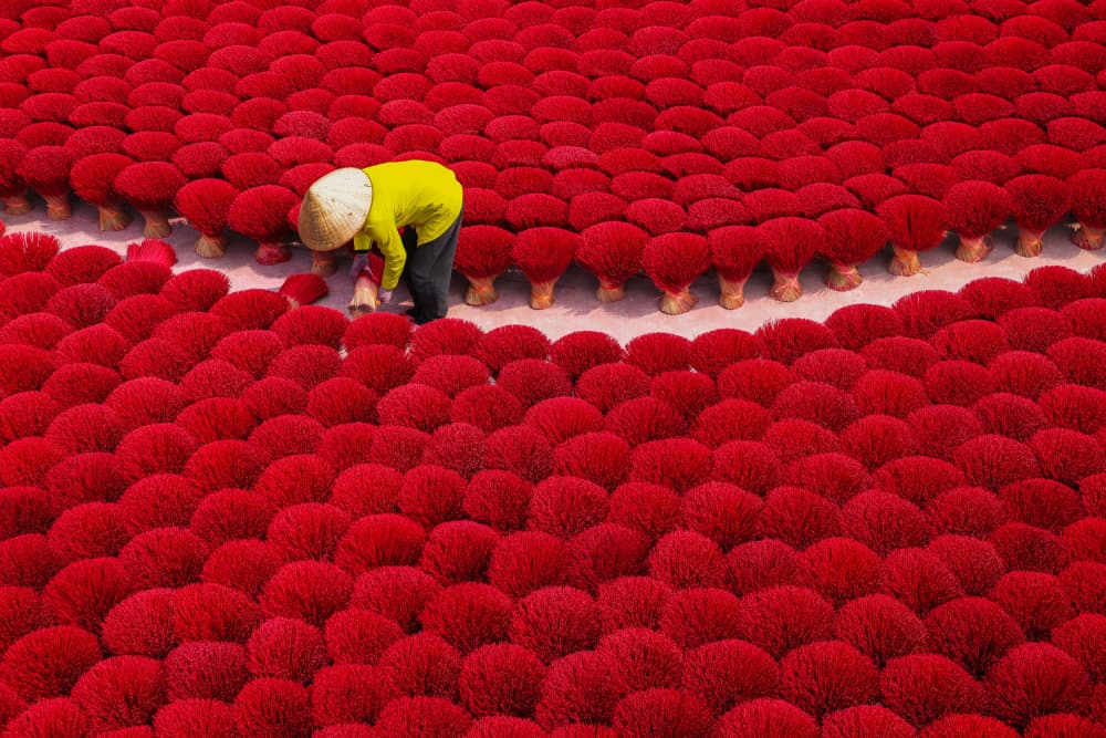 Vibrant Red Incense Field by Clas Gustafson PRO — canvas wall art