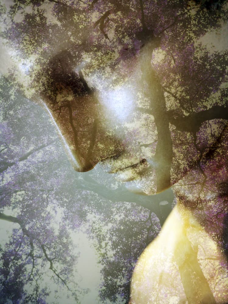 Ethereal Forest Profile by Angelo Cerantola — canvas wall art