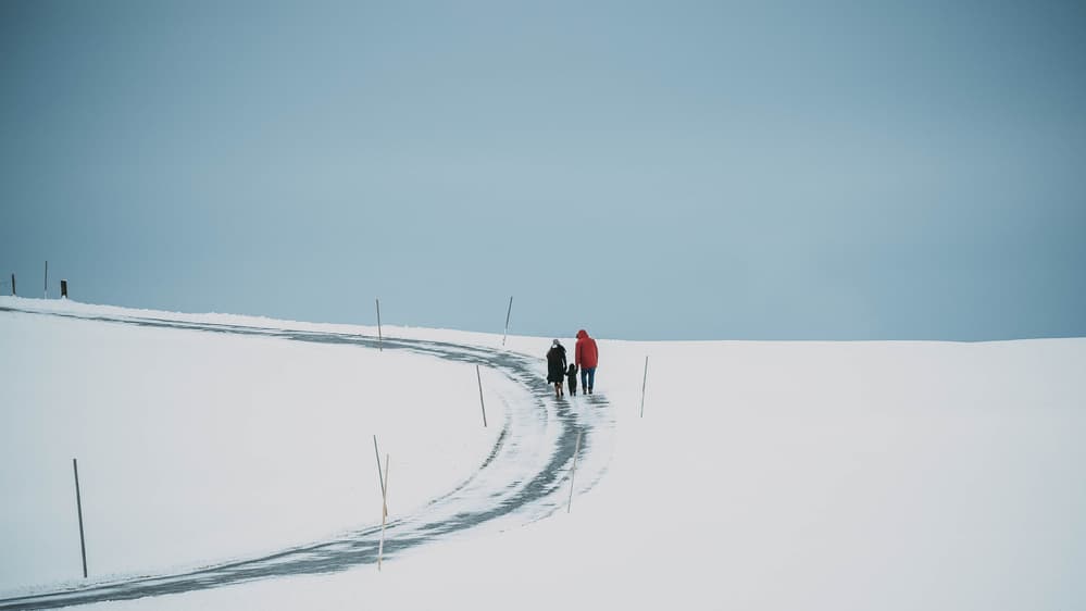 Family Winter Journey by Renate Wasinger — canvas wall art