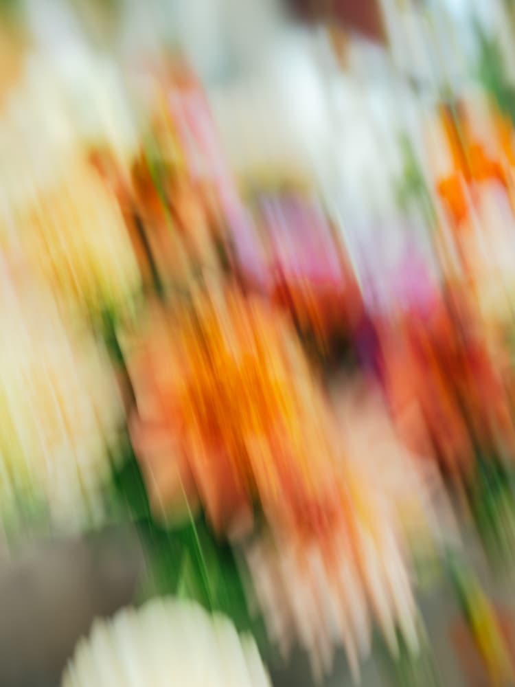 Moving Flowers 12 by Raisa Zwart — canvas wall art