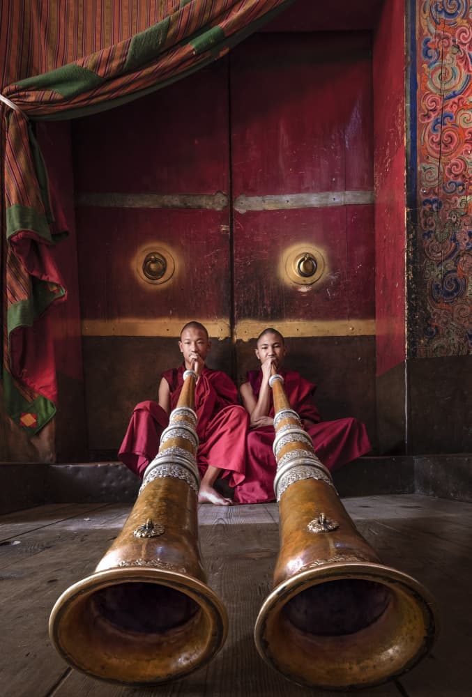 Young Monks Sacred Horns by Raimondo Restelli — canvas wall art