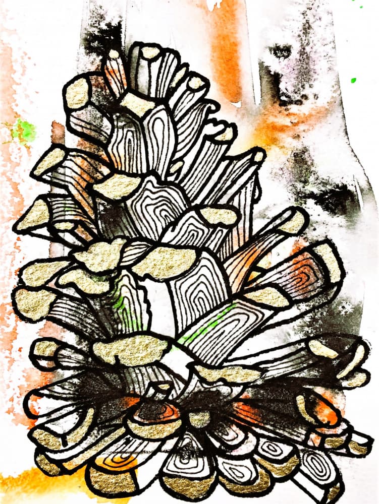 Abstract Pinecone Watercolor by Anda Bieza — canvas wall art