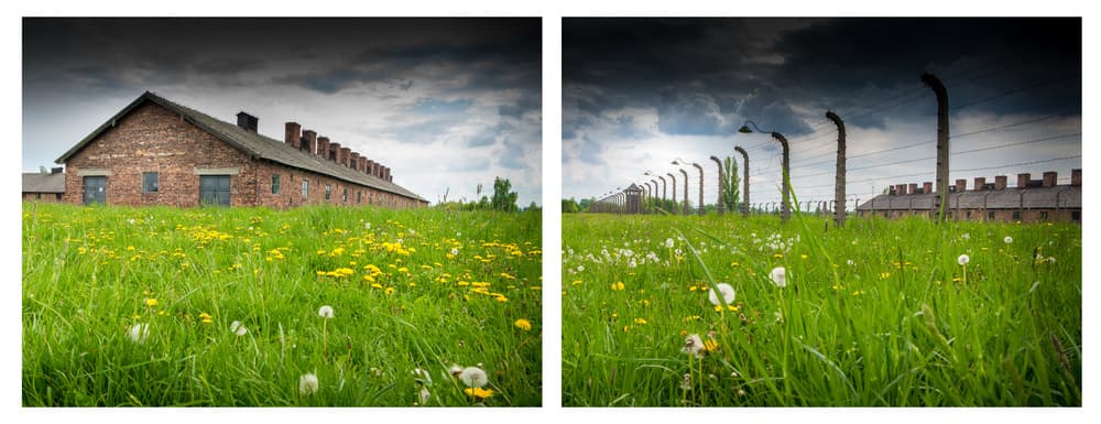 Holocaust Memorial Landscape by Hilde Ghesquiere — canvas wall art