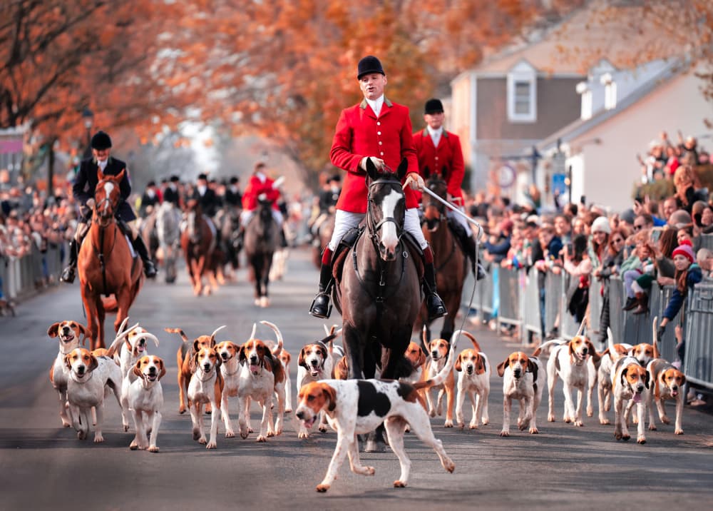 Autumn Hunt Parade by Catherine Wang — canvas wall art