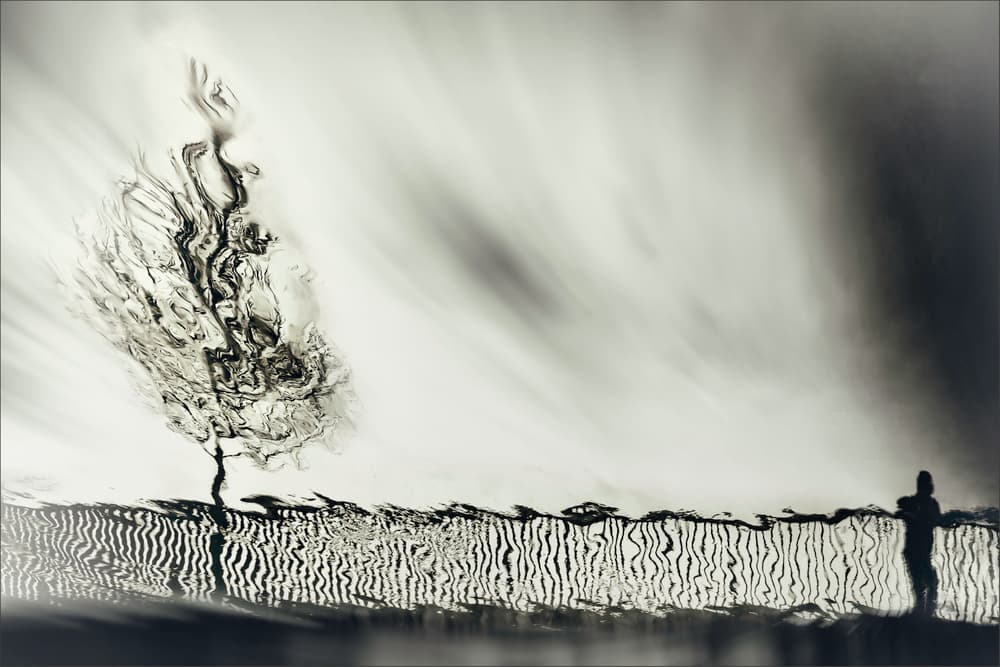 Abstract Tree and Figure by Gilbert Claes — canvas wall art