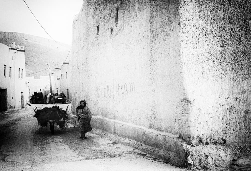 Woman With Donkey In Village by Rui Correia — canvas wall art