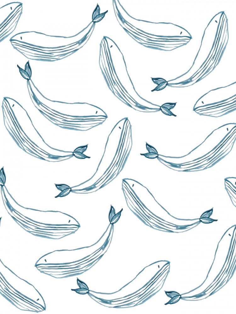 Playful Blue Whales by Elizabeth C — canvas wall art