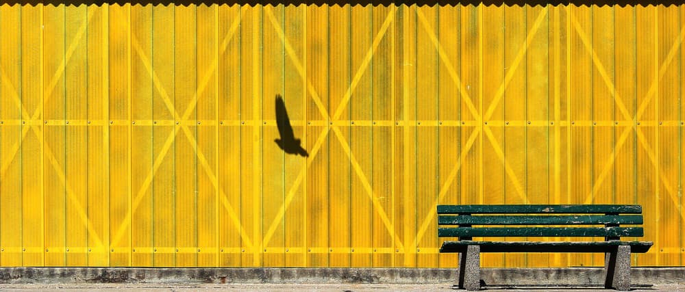 Yellow Wall Bird Shadow by Jian Wang — canvas wall art