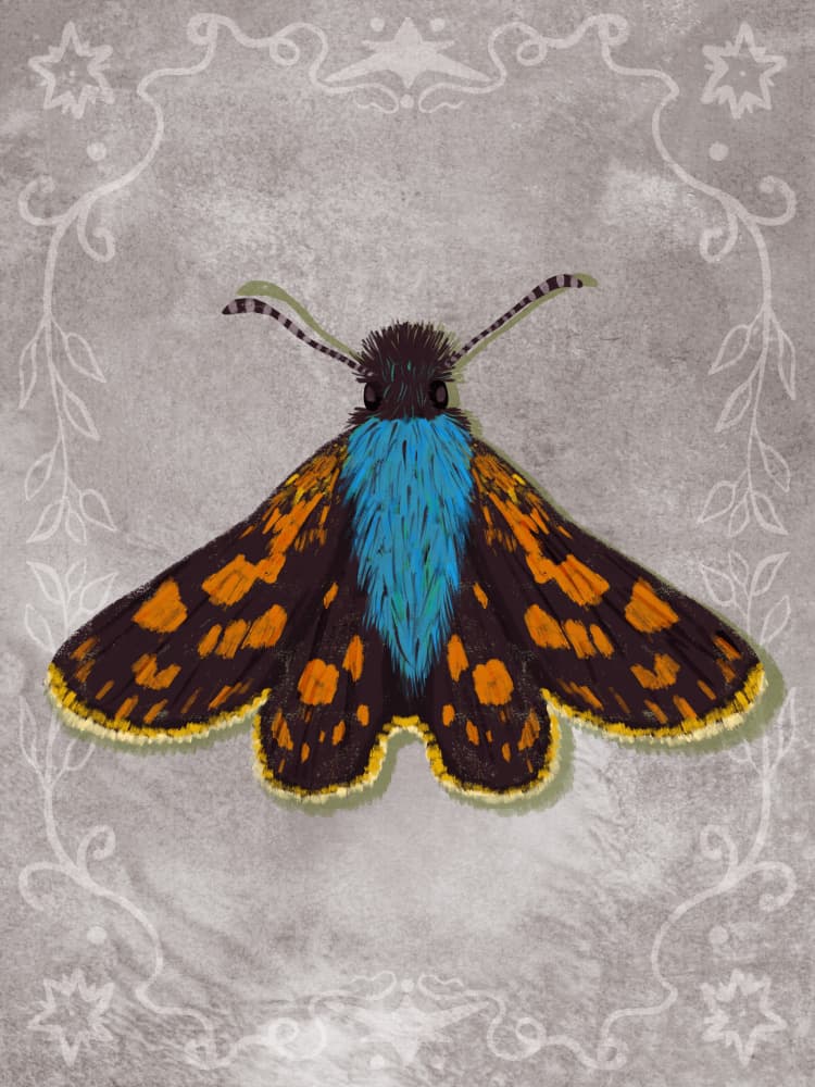 Blue Spotted Moth by Aliya Putrus — canvas wall art