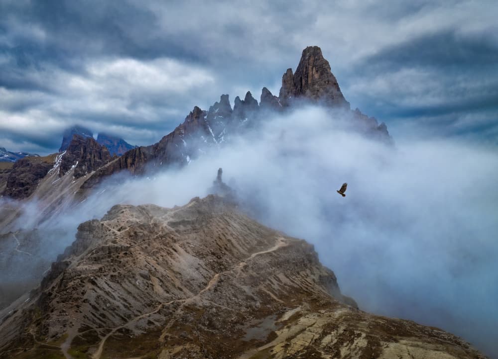 Bird Over Misty Peaks by Songlin Xu — canvas wall art