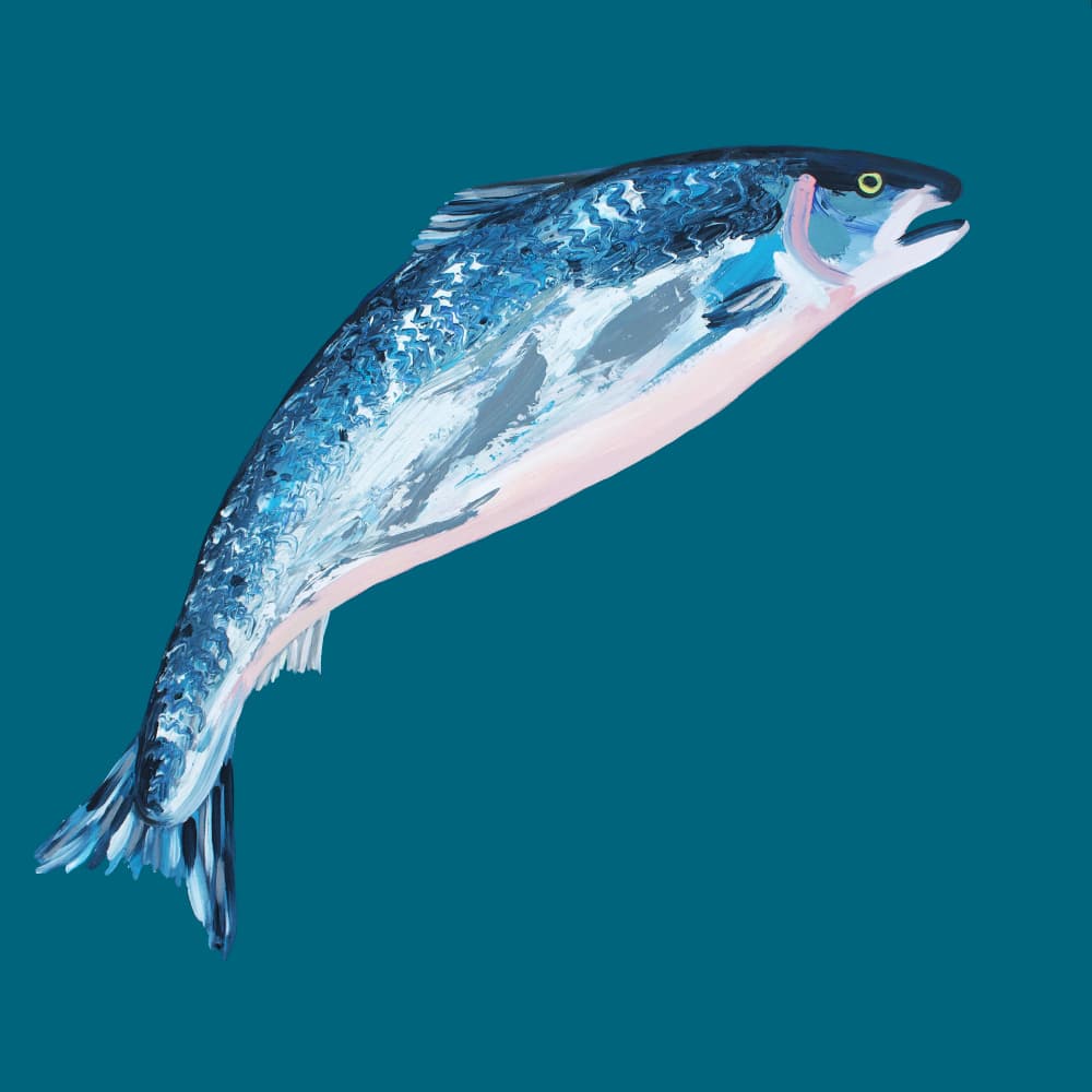 Jumping Blue Salmon by Alice Straker — canvas wall art