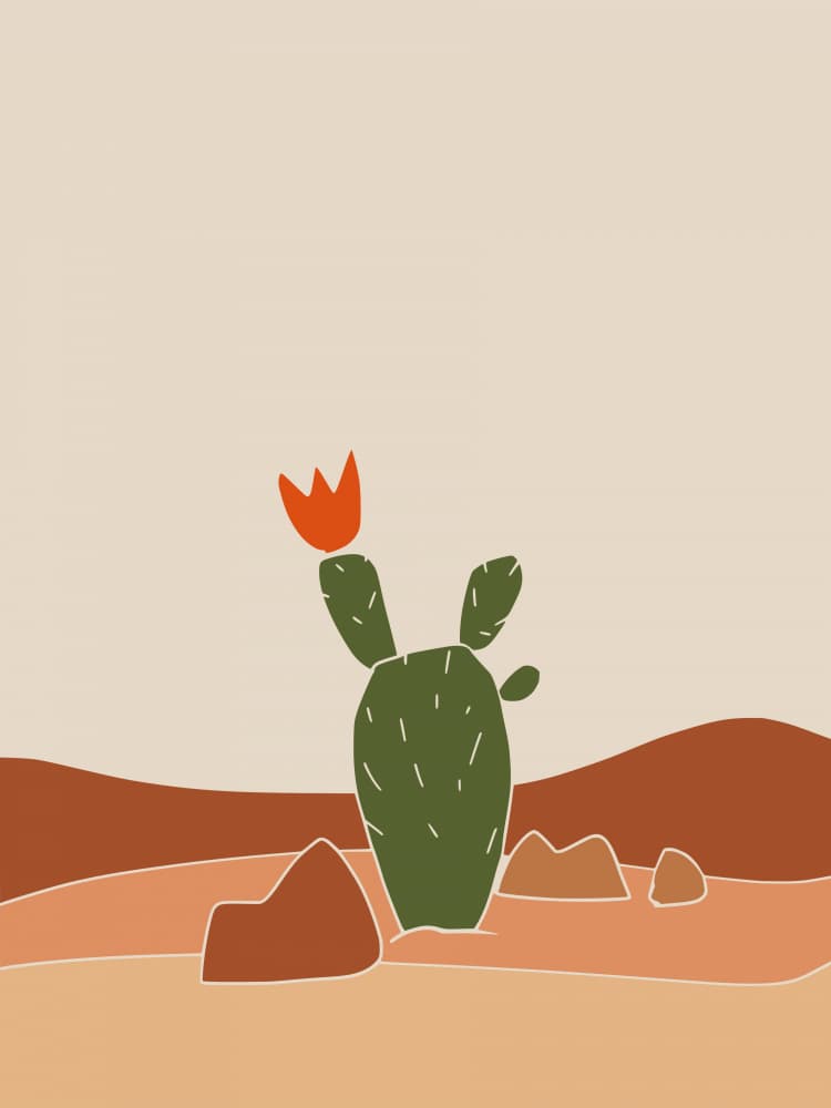 Southwest Cactus Bloom by Little Dean — canvas wall art