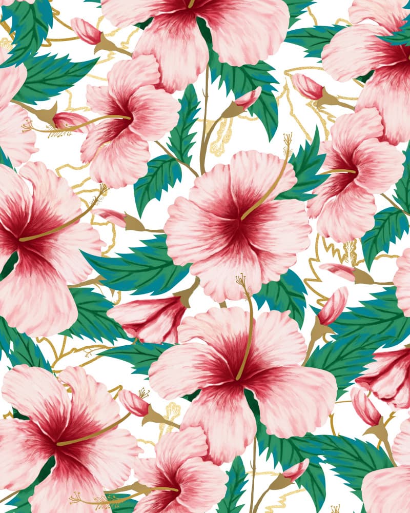Tropical Pink Hibiscus by Uma Gokhale — canvas wall art