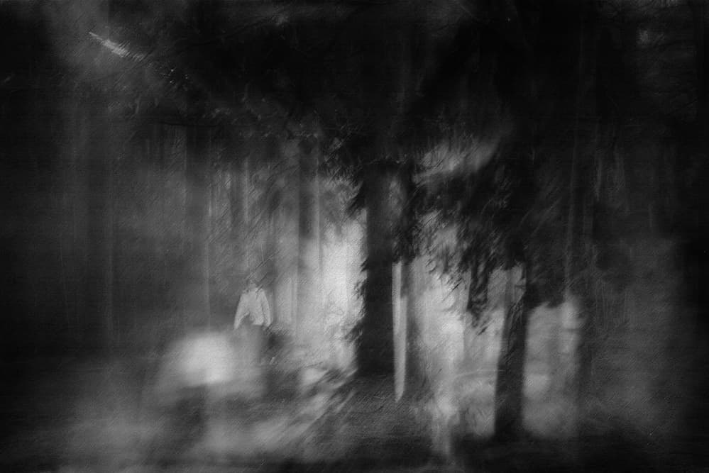 Ghostly Figure Forest by Saskia Dingemans — canvas wall art